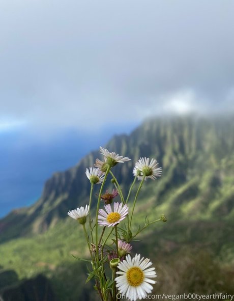 sexyearthfairymermaid ポルノスター セクシー 写真