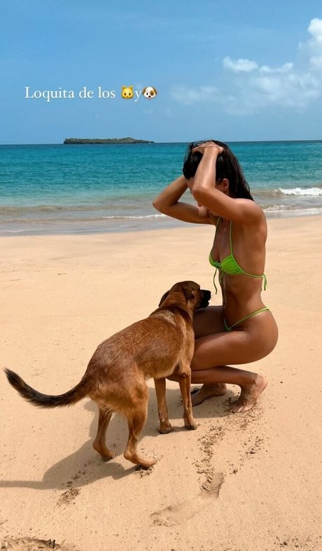 Sofia Suescun エロティックモデル 写真