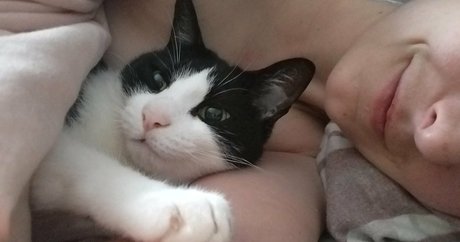 andromedanekoclub 高品質のスター 画像