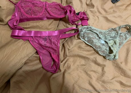 charlsfordevip HDモデル ギャラリー