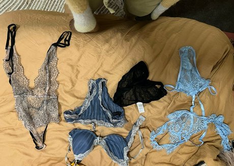 charlsfordevip profile image