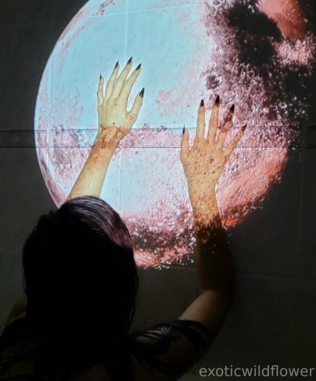 Exoticwildflower ポルノスター パーフェクト 写真