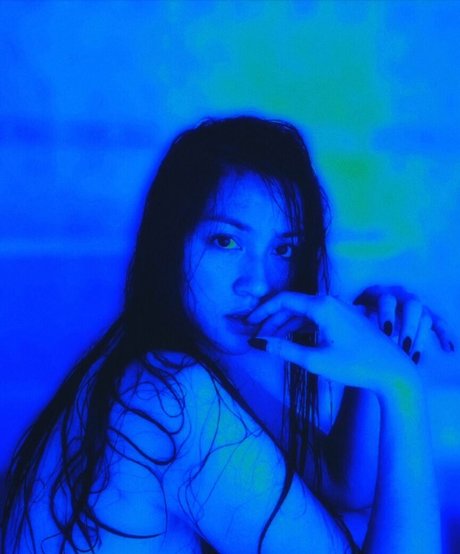 Exoticwildflower 完璧なスター 写真