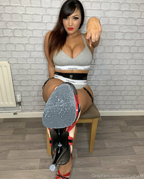 noirsahara 独占スター ギャラリー