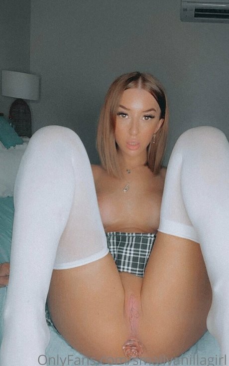 THE SMALL VANILLA GIRLL 裸のスター 画像