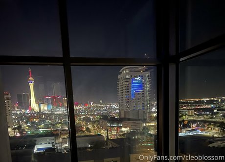 妻のアナルOnlyFans ポルノ アーカイブ