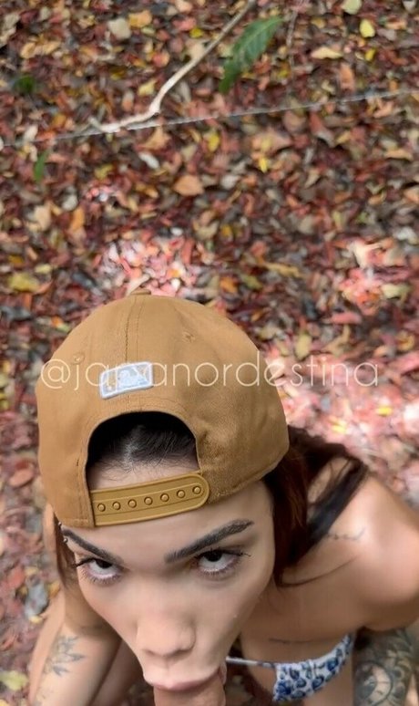 Japa Alee HD女優 画像