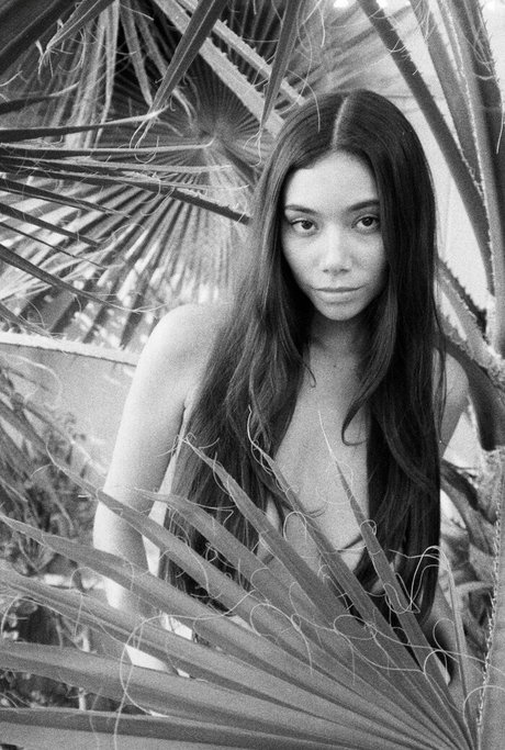 Desiree Flores HDポルノスター 写真