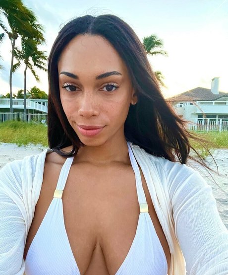 Jasmine Lotus 独占モデル 画像