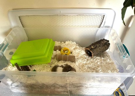 コスプレファックOnlyFans ポルノグラフィック アーカイブ