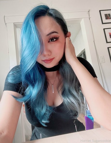 harrietsugarcookie 高品質スター 写真