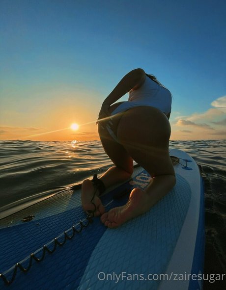 zairesugar アートスター 画像