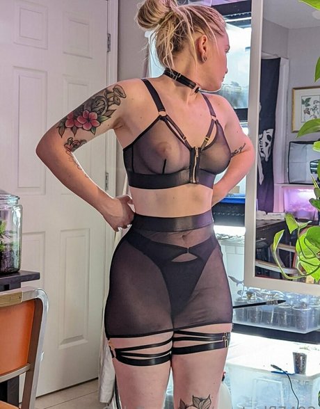 centralfl7492 セックスポルノスター 写真