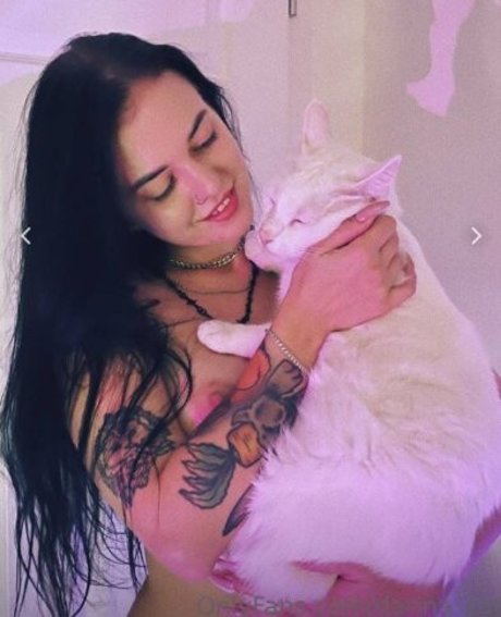 darina cat 無料モデル 写真