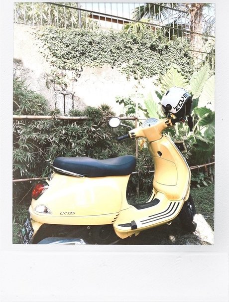 Natalie Jayne Roser 高品質モデル 写真