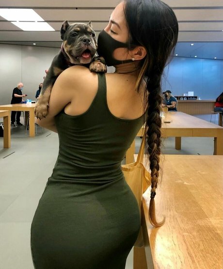 Dajinism ポルノスター 画像