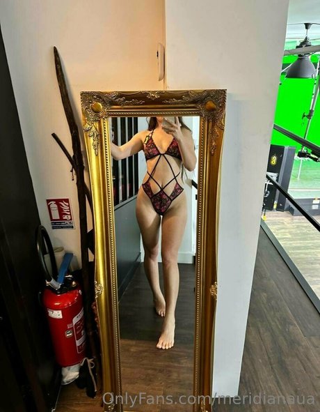 meridianaua 高品質スター ギャラリー