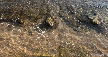 シーメールランジェリーOnlyFans ベスト 画像