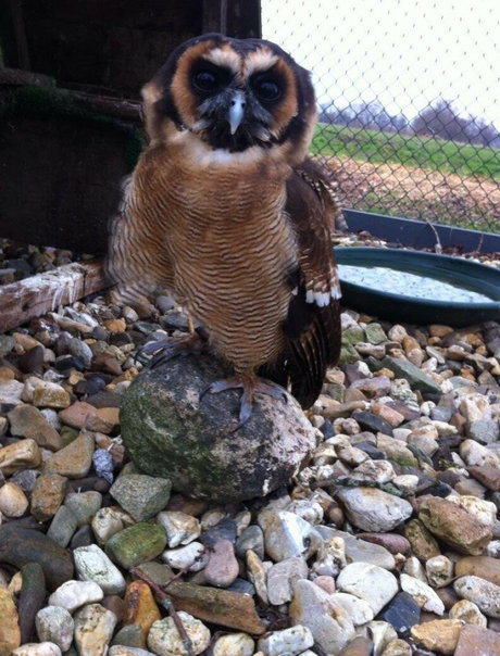 巨乳とお尻のOnlyFans セックス 写真