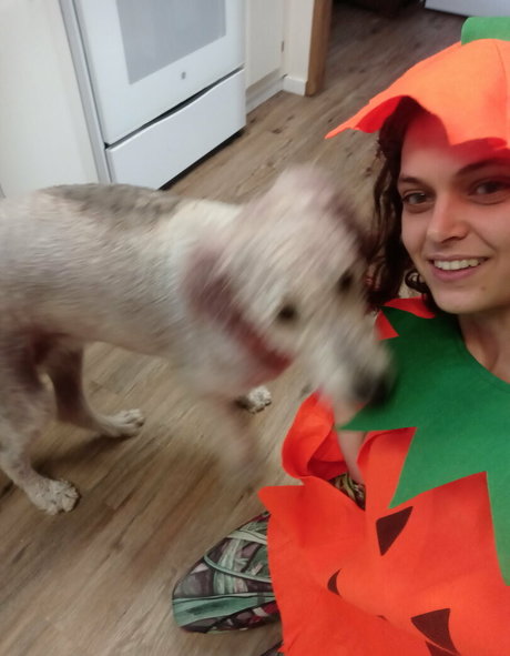 女子高生OnlyFans 無料xxx 写真