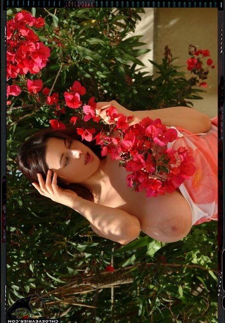 ブルネットのPOV OnlyFans アートxxx 写真