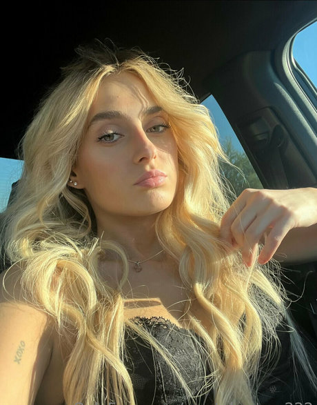 公共の場での猫のOnlyFans 可愛い 写真