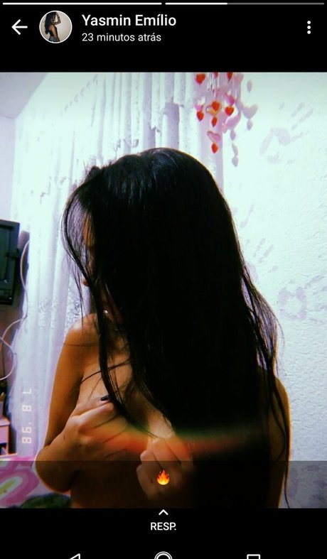 Petropolis モデル 写真