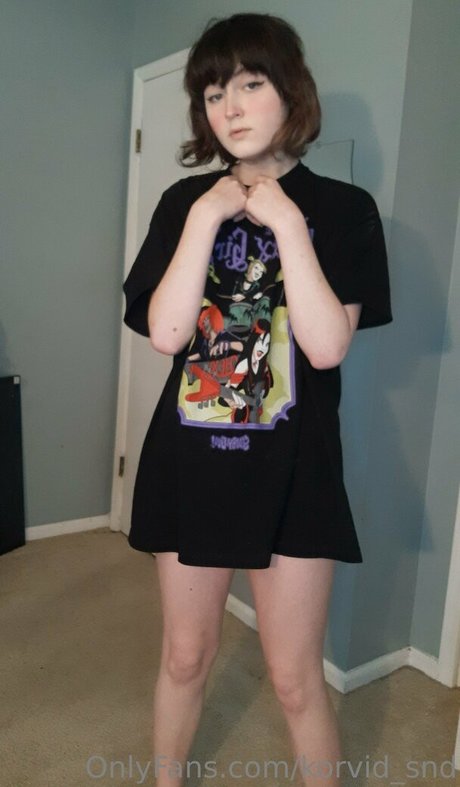 korvid snd 高品質モデル 写真