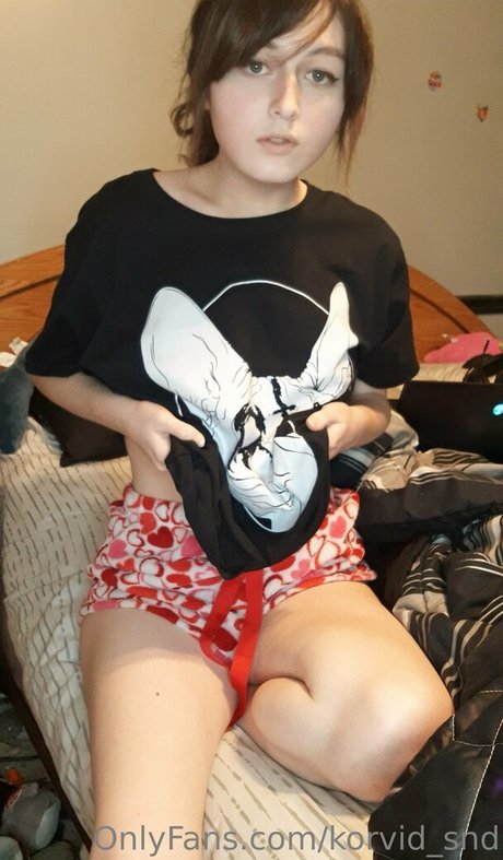 korvid snd 限定モデル 写真