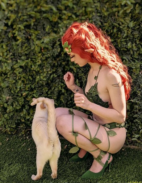 bunnybiifree ポルノスター 独占 写真