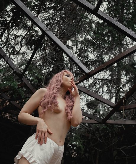 xxx アジアンオンリーファン ベスト 画像