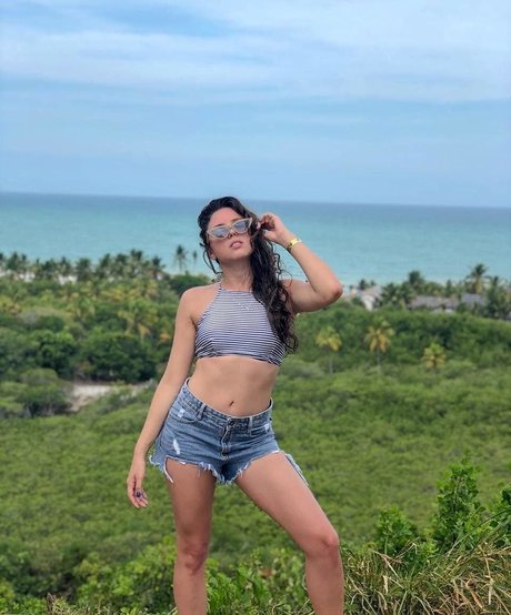 CamilotaXP 高品質モデル 画像