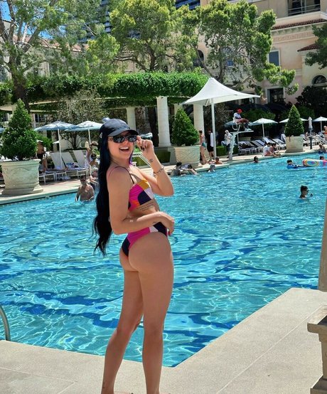 CamilotaXP 高品質モデル 画像