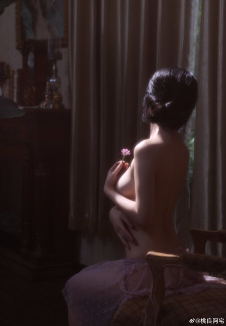 Taoliangazhai 美しいスター 画像