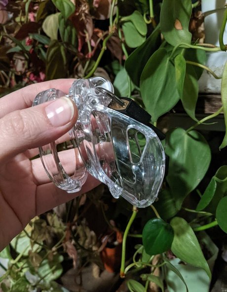 2024年のトップOnlyFans 美しいxxx 画像