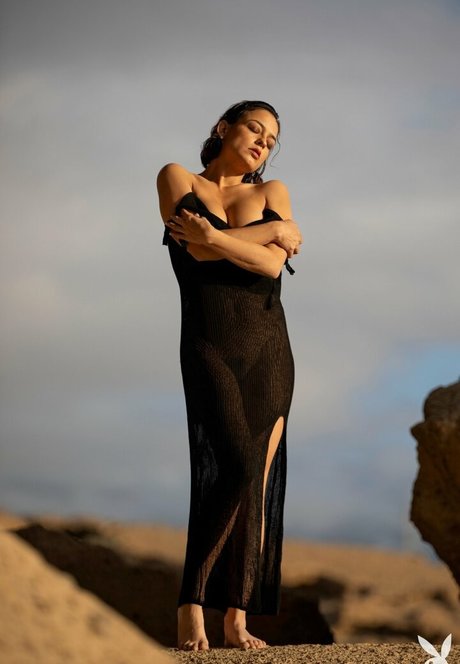 Joy Lamore トップスター ギャラリー