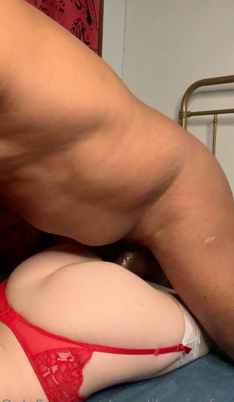 sexylibrarianfreexx ホットなポルノスター 写真