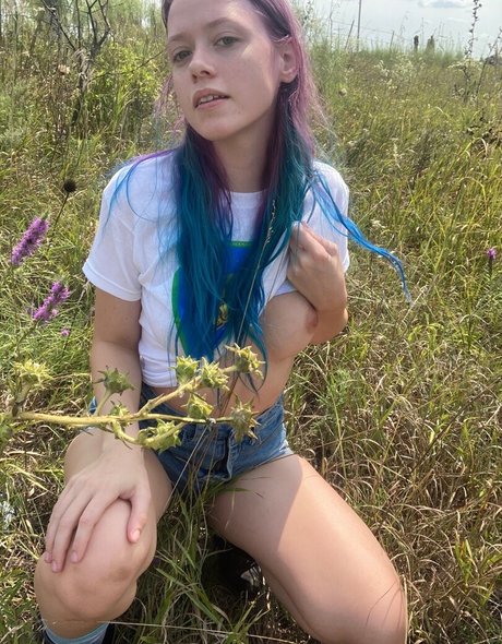 Cynda Mcelvana トップスター ギャラリー