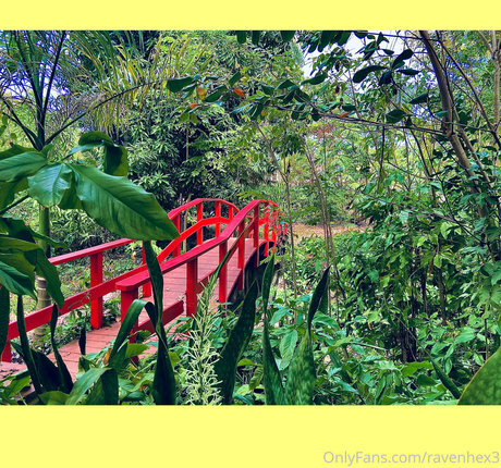 自然なお尻OnlyFans トップ ギャラリー