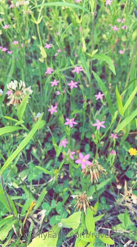 射精 OnlyFans ポルノ 写真