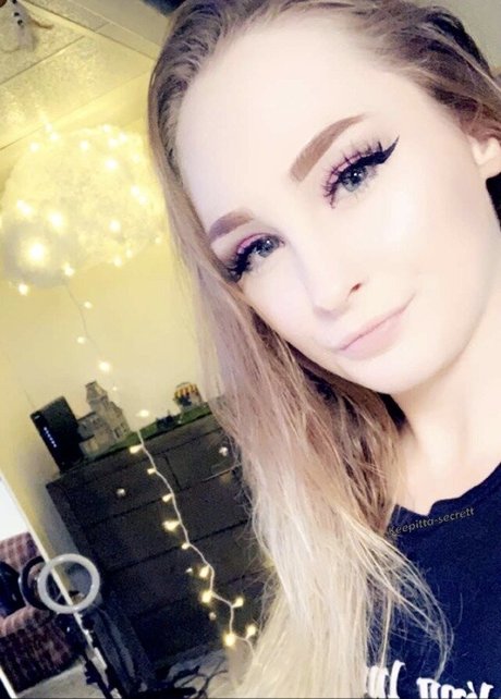 車椅子専用ファン ベスト 画像