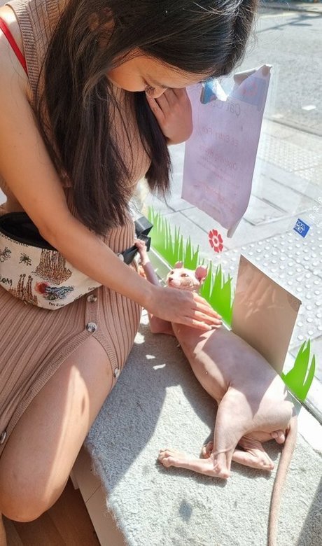 Codemiko トップモデル 写真