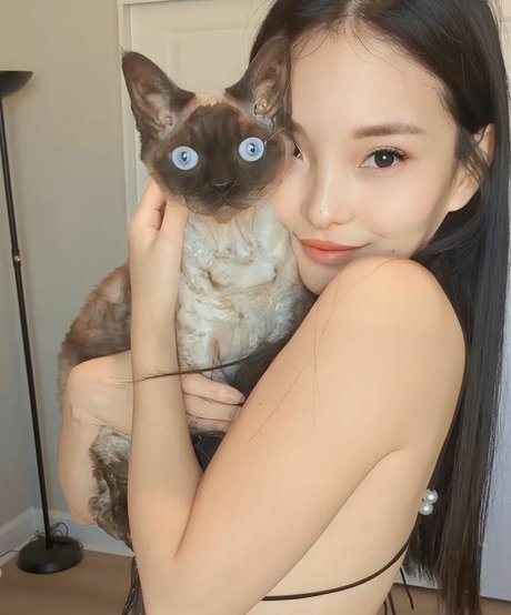 Codemiko ポルノスター 画像