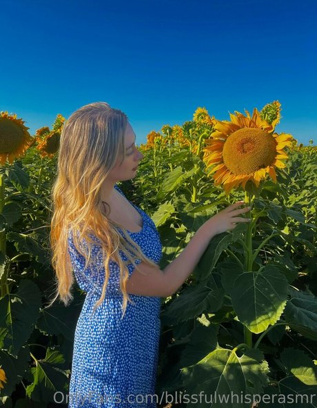 アナルパウグオンリーファンズ 無料裸 ギャラリー