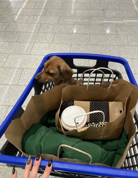 手袋onlyfans アート裸 写真