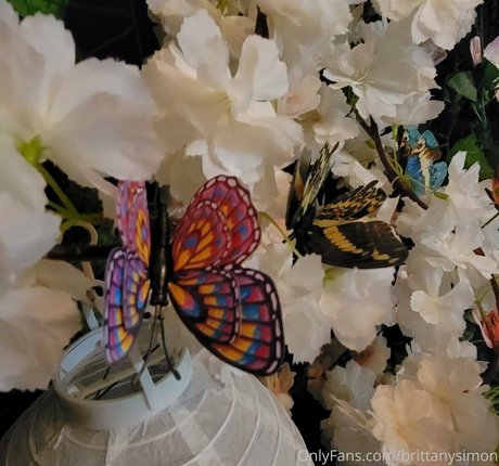 brittanysimon モデル 写真