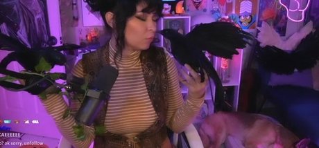 xxx アジアンオンリーファン 無料ヌード 写真