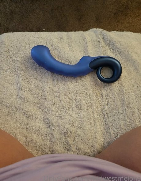 姉妹のOnlyFans 美しい裸 写真