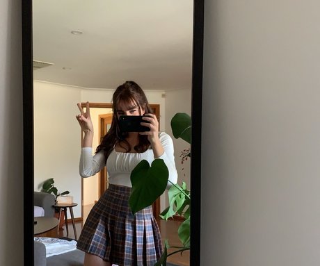 Paladinamber ホットスター 写真