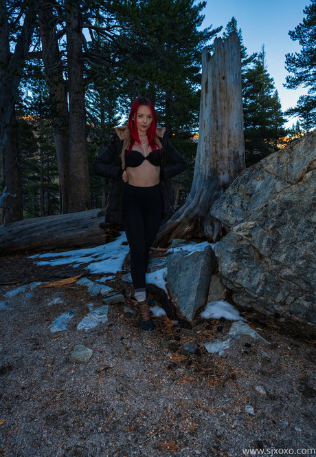 sjxoxofree top profile image